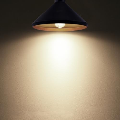 Edison Bulbs Dimmable