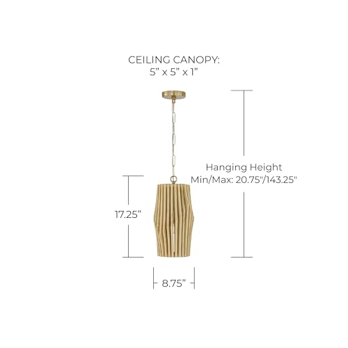 Capital Lighting 344613BWB Archer Modern Artisan