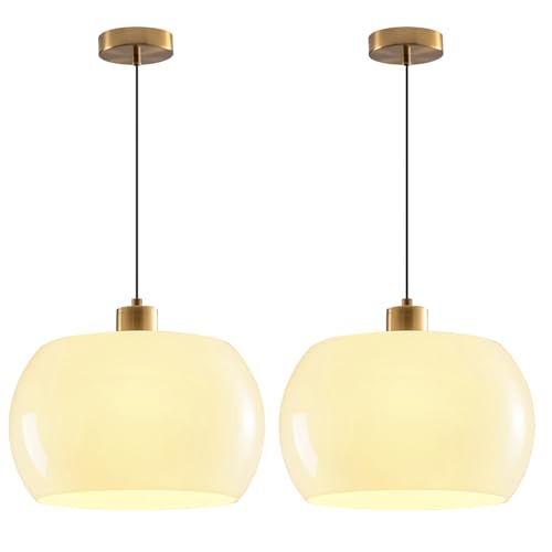 2 Pack 1 Light Dome Glass Pendant Lights