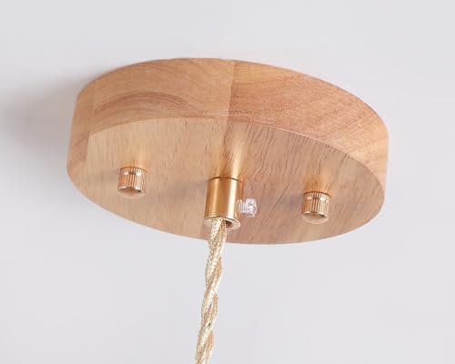 Bamboo Pendant Light Fixture One