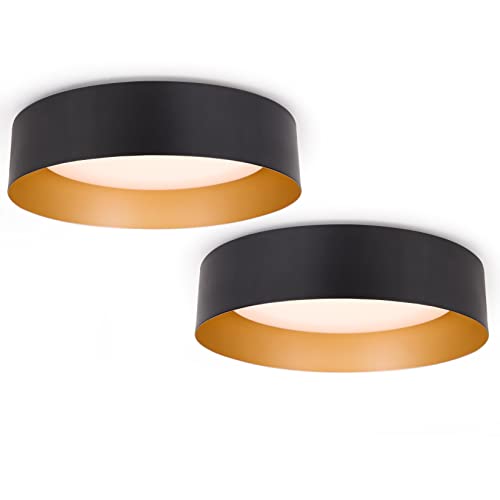 Flush Mount Ceiling Light 2 (2 Count)