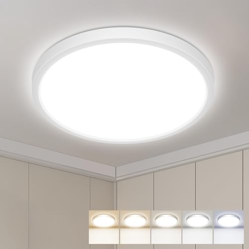 LED Flush Mount Ceiling Light
