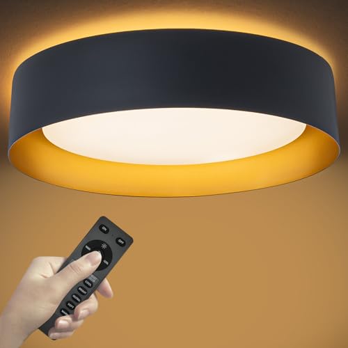 Flush Mount Ceiling Light with Remote & Night Light