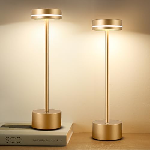 2 Pack LED Cordless Table Lamp Rechargeable (2 Count)