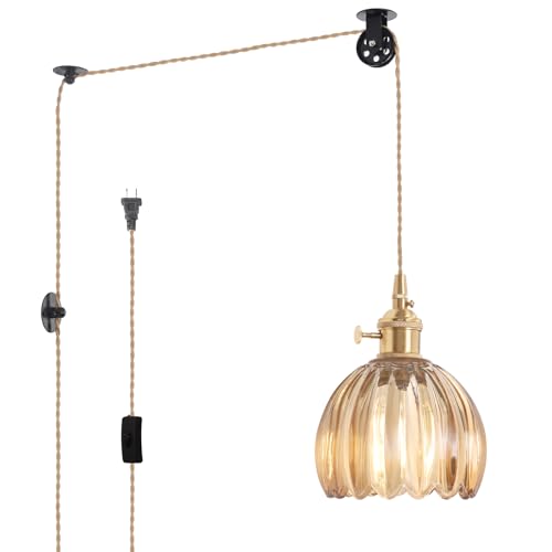 Plug in Pendant Light Hanging Light Fixture Corded On