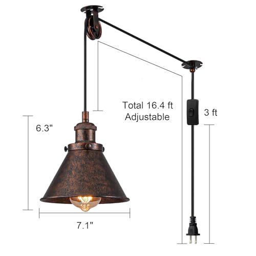 Plug in Pendant Light