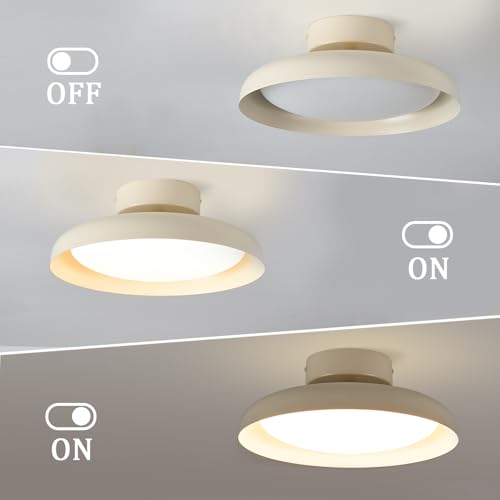 Modern LED Ceiling Light