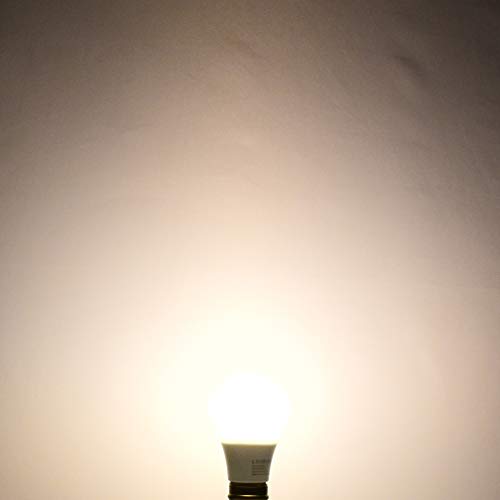 A19 LED Bulb 60W Equivalent