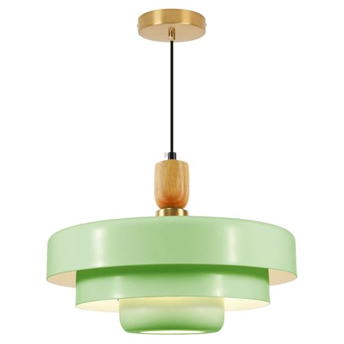 Mint Green Pendant Light with Solid Wood Adjustable Hanging Light