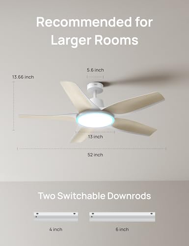 Smart Ceiling Fans with Lights