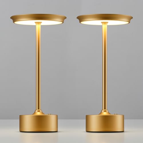Rechargeable Table Lamps Set of 2 (2 Count)