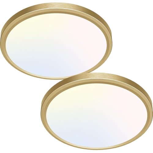 2Pack LED Ceiling Light Golden (2 Count)