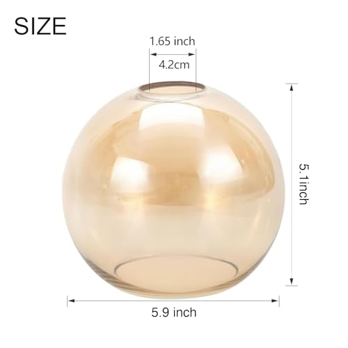 3 Pack Globe Glass Shade (3 Count)