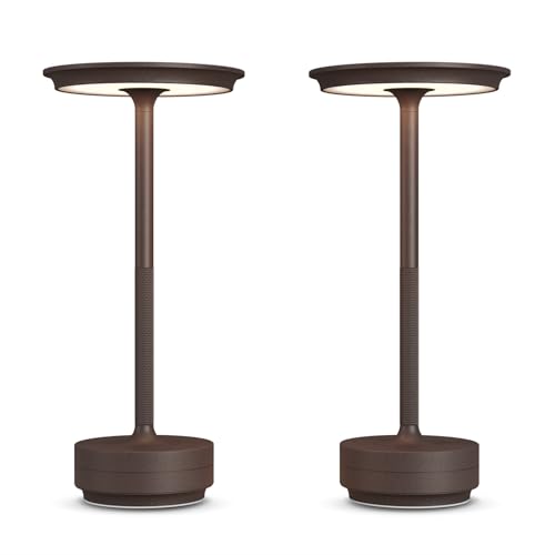 2 Pack Cordless Table Lamps Rechargeable (2 Count)