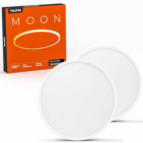 2 Pack 15.8" LED Flush Mount Ceiling Light Fixture (2 Count)