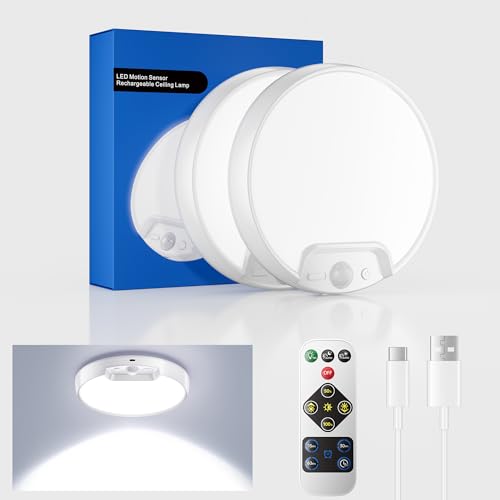 2 Pack Newly Upgraded 8000mAh Rechargeable Ceiling Light (2 Count)