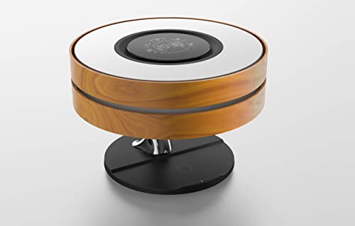 Bonsai Modern LED Bedside Smart Table Lamp with Built