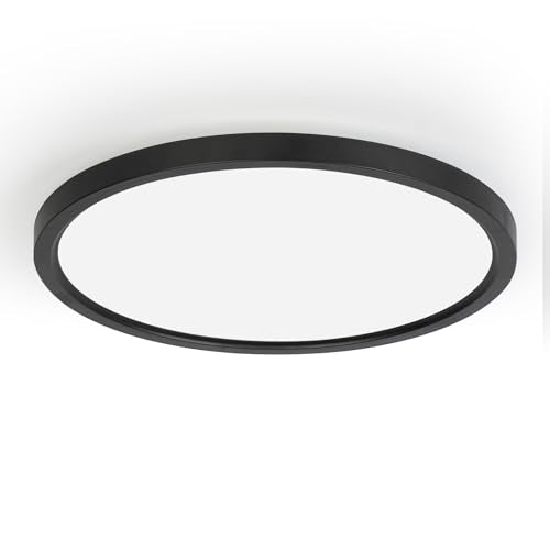 10 Inch LED Flush Mount Ceiling Light Fixture