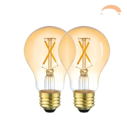 A19 Vintage LED Edison Light Bulbs (2 Count)