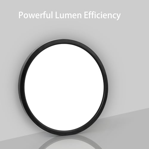 Dimmable Flush Mount Ceiling Light