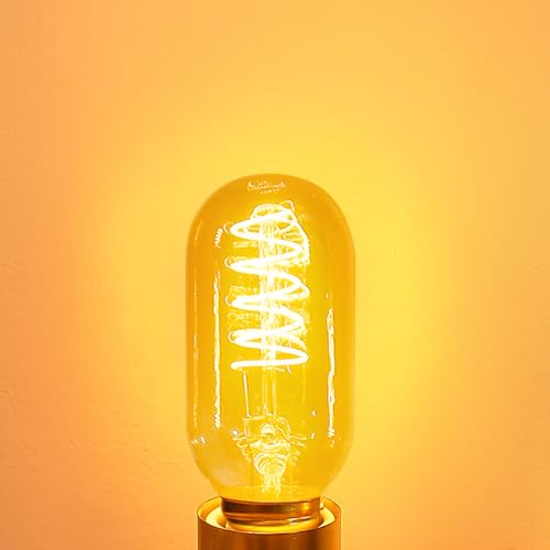 LED Edison Bulb Dimmable