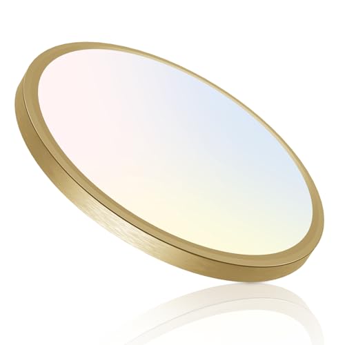 12 Inch LED Ceiling Light Golden