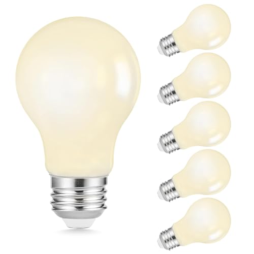A19 LED Filament Light Bulbs (6 Count)