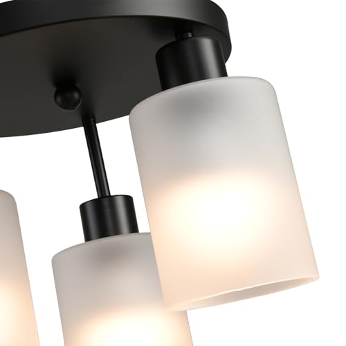 3 Light Industrial Farmhouse Black Matte Light Fixtures Ceiling Mount (3 Count)