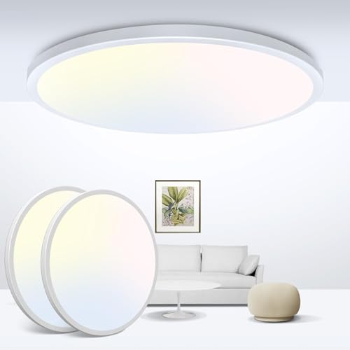 LED Ceiling Light 9Inch (2 Count)
