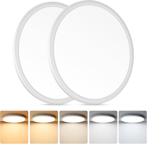 12 Inch LED Flush Mount Ceiling Light Fixture (2 Count)