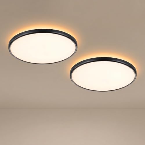 2 Pack 18" Dimmable Flush Mount Ceiling Light Fixture (2 Count)