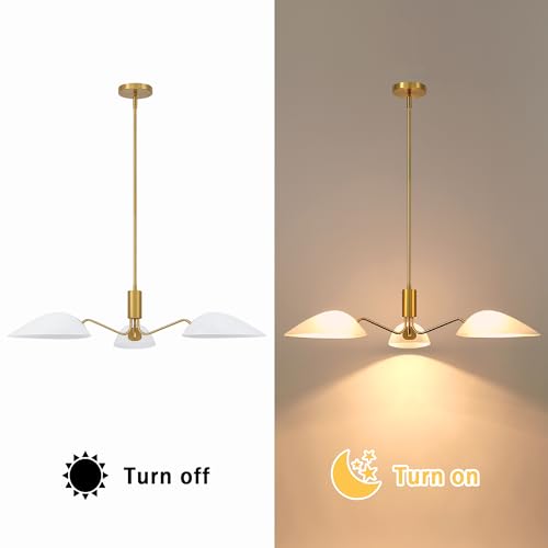 Modern Glass Chandeliers