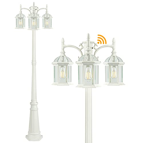Dusk to Dawn Outdoor Lamp Post Light Birdcage