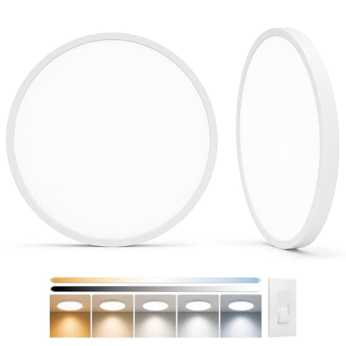 2Pack 12in Edge (2 Count)