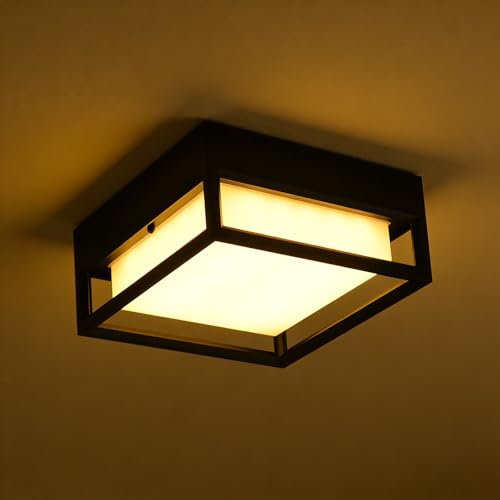 11inch Out Indoor Flush Mount Ceiling Light