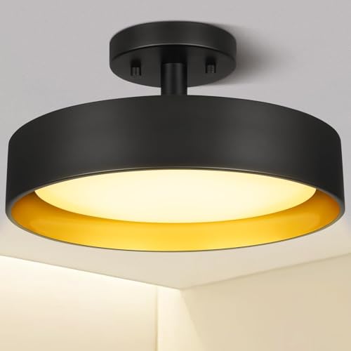 Semi Flush Mount LED Ceiling Light 3000K