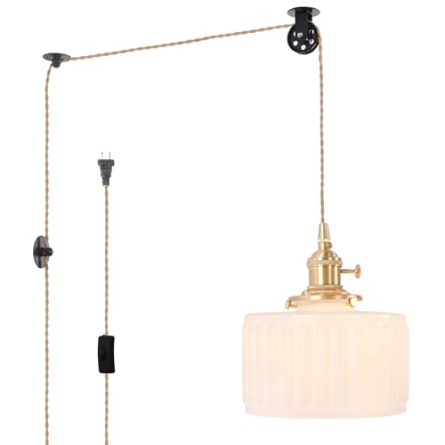 Plug in Pendant Light Hanging Light Fixture Corded On