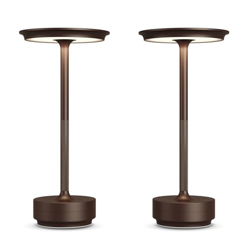 2 Pack Cordless Table Lamps Rechargeable (2 Count)