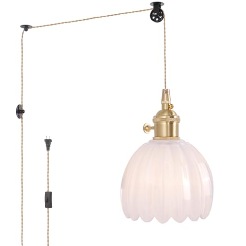 Plug in Pendant Light Hanging Light Fixture Corded On