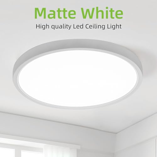 12 Inch Selectable CCT LED Round Flat Panel Light