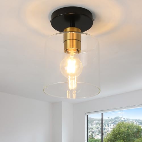 Black Brass Semi Flush Mount Ceiling Light