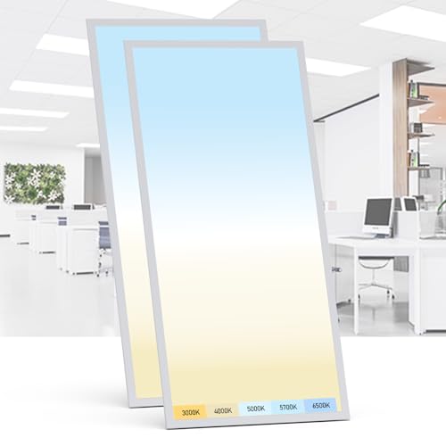 2 Pack 2x4 LED Flat Panel Light (2 Count)