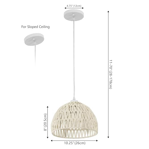 Campana 1 Light Pendant Dome Ceiling Lamp