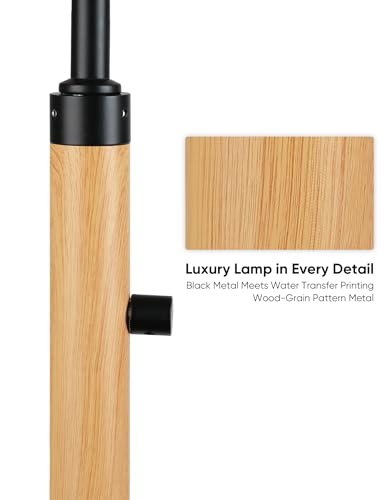 Dimmable Floor Lamp for Living Room