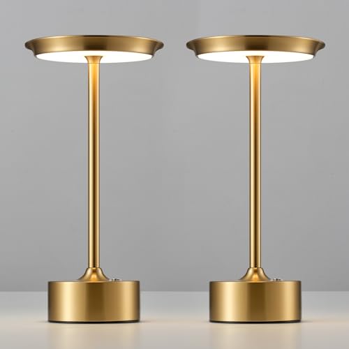 Rechargeable Table Lamps Set of 2 (2 Count)