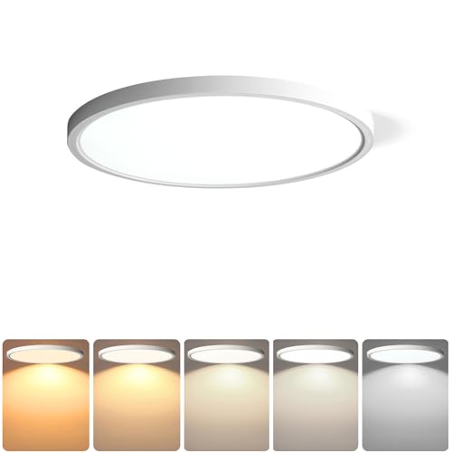 2 Pack 10 Inch LED Flush Mount Ceiling Light (2 Count)