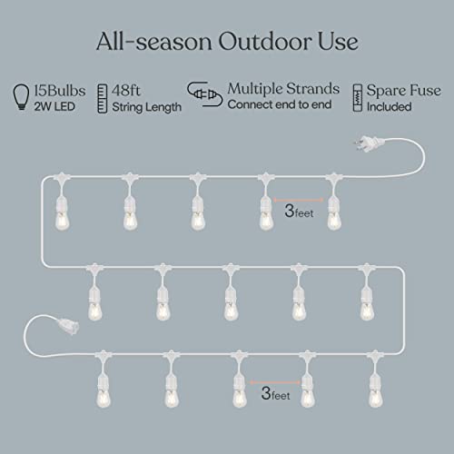 Ambience Pro Waterproof LED Outdoor String Lights (48 Foot)