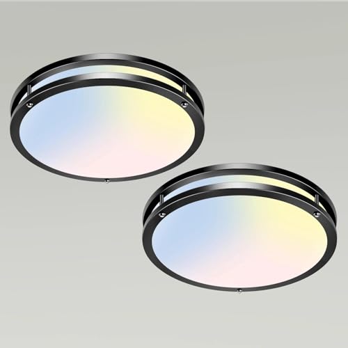 10Inch Flush Mount Ceiling Lights (2 Count)