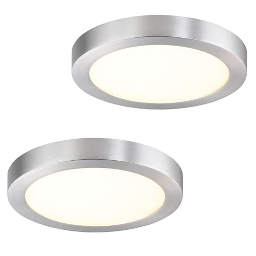 Flush Mount Ceiling Light Fixture (2 Count)
