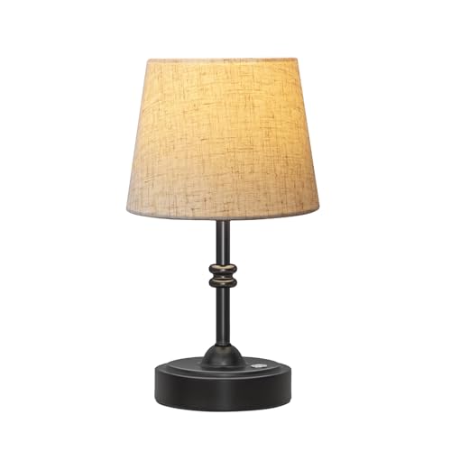Small Cordless Lamp